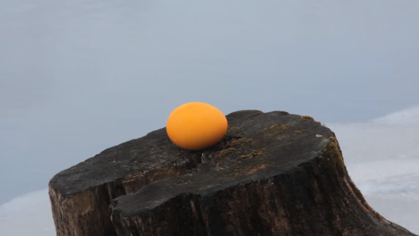 Easter egg painted in yellow paste, egg on lake with bright water. Russian tradition to paint eggs in bright day of resurrection of Christ (Eastern day). Symbol death and resurrection