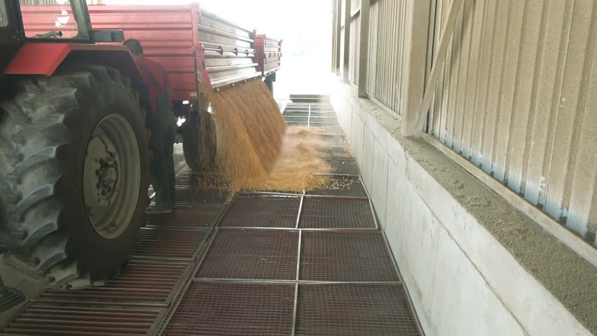 Tractor from corn harvest load storage 
