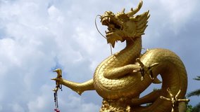 Time-Lapse : Giant golden Chinese dragon in Phuket Town, Thailand