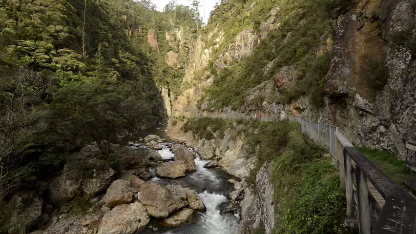 Waitawheta River, Karangahake Gorge, North Island, New Zealand