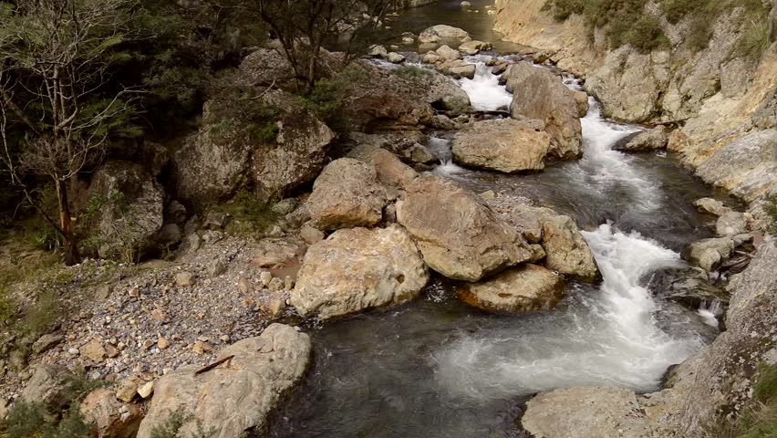 Waitawheta River, Karangahake Gorge, North Island, New Zealand