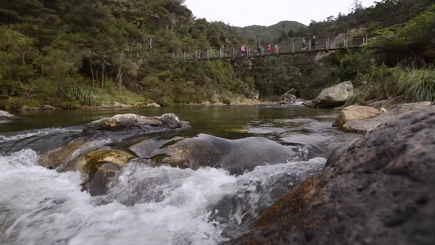 Waitawheta River, Karangahake Gorge, North Island, New Zealand