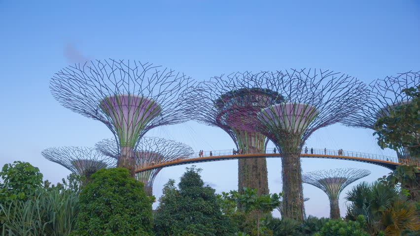 Singapore - Circa February , 스톡 동영상 비디오(100% 로열티 프리) 26129516 | Shutterstock