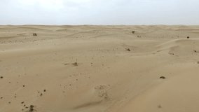 Flying over Arabian desert HD video. Flight aerial top view of dry sandy dune hill and barchan sand terrain nature landscape background