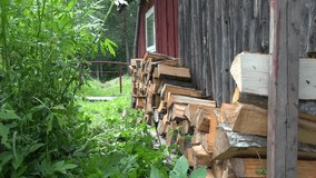 worker man bring with wheelbarrow lot of firewood and unload them on the home wall outdoor in summer. 4K UHD video clip. 