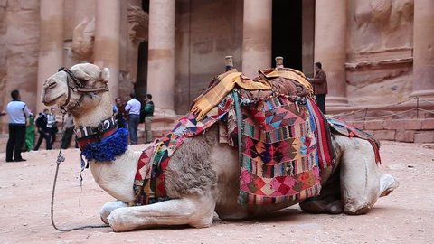 JORDAN, PETRA, DECEMBER 5, 2016: People and camel near Al Khazneh or the Treasury at Petra, originally known to Nabataeans as Raqmu - historical and archaeological city in Hashemite Kingdom of Jordan