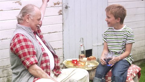 Grandfather and grandson at the summer cottage स्टॉक व्हिडिओ