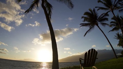 TIme lapse of an adirondack chair and coconut tree, as the sun sets and the stars come out in this day to night timelapse. ( HD full 1920x1080 )