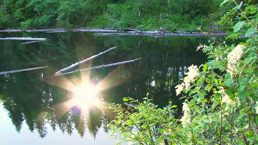 Sun reflecting bright in lake at Oregon forest.