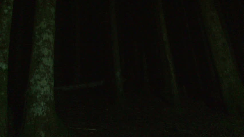 Person running into dark forest at night with lantern.