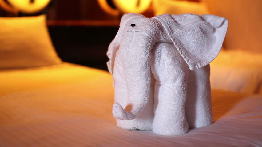 Putting the finishing touches on a towel elephant in a hotel room or cruise
