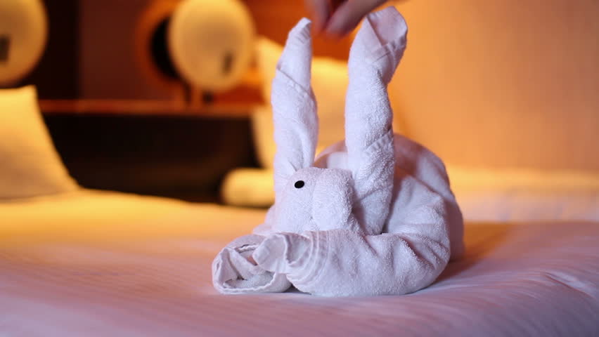 Putting the finishing touches on a towel bunny in a hotel room or cruise cabin.