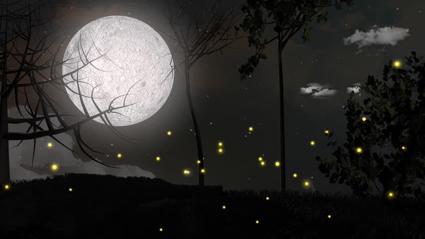 Illuminated fireflies.