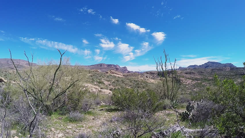 APACHE JUNCTION AZ/USA: March 23, 2017- Point of view hiking in the Arizona...
