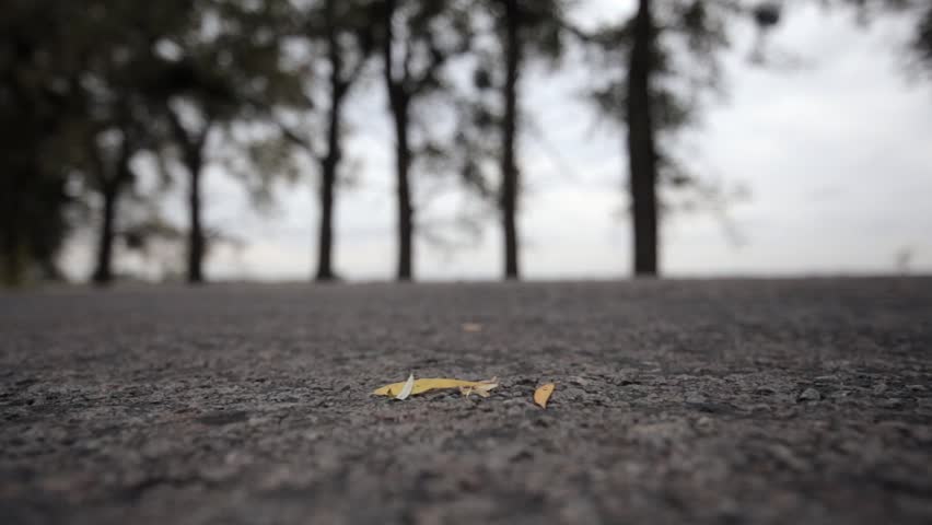 A single yellow leaf is lying on an asphalt road, a black car passes and a gust of wind blows the leaf away