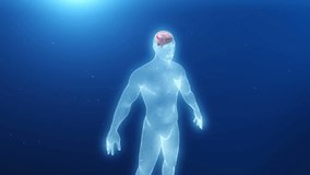 3d model of the human body with an inflamed brain - Powered by Shutterstock - Get 15% off with code: PIKWIZARD15