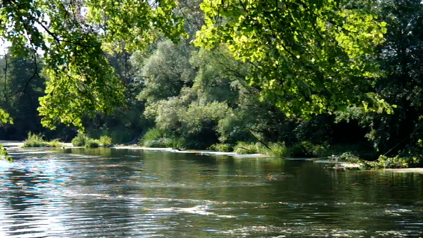 Flowing River and Green Reeds Stock Footage Video (100% Royalty-free)  2623496 | Shutterstock