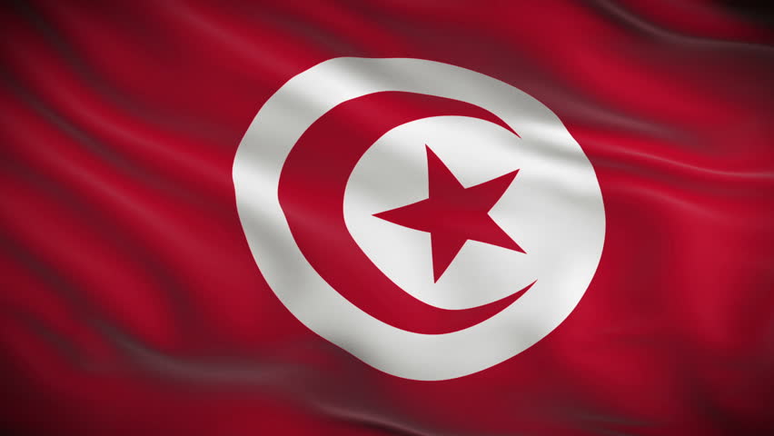 highly detailed flag tunisia ripples wind Stock Footage Video (100%