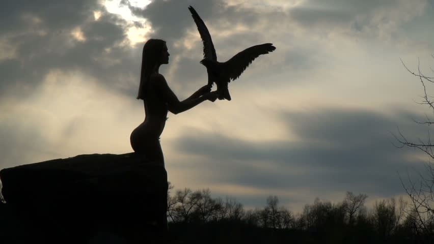 Silhouette of a girl with an eagle in her hands that sits on a rock in the middle of the forest