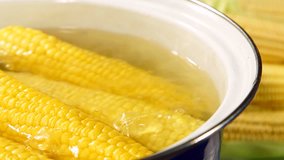 Corn Cob Boiling in a Pot