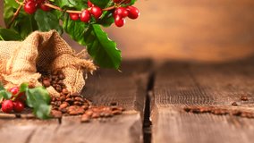 Coffee background, real coffee Plant on wooden table. Border art design with Red beans on a branch of coffee tree with ripe fruits and sack full of roasted beans. Harvest. 4K UHD video 3840X2160