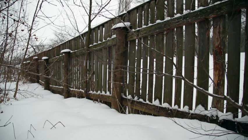 winter landscape with falling snow