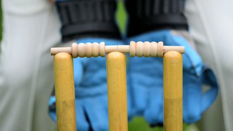 cricket - stumps and bails - hit!