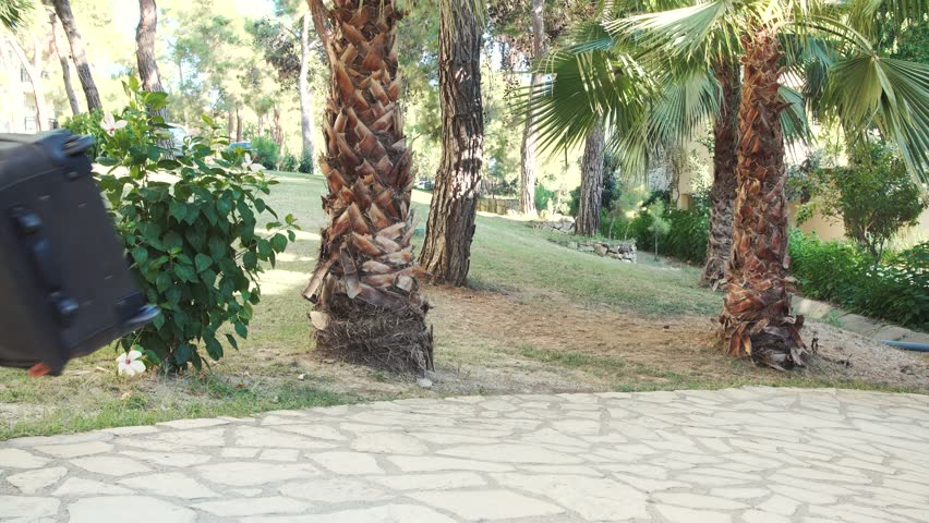 young brunette woman in shorts, sunglasses and heels carries suitcase between trees in summer. vacation