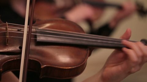 Violin Live Concert with close-up of Womens Hands playing the Violin and Moving Focuse from one to another