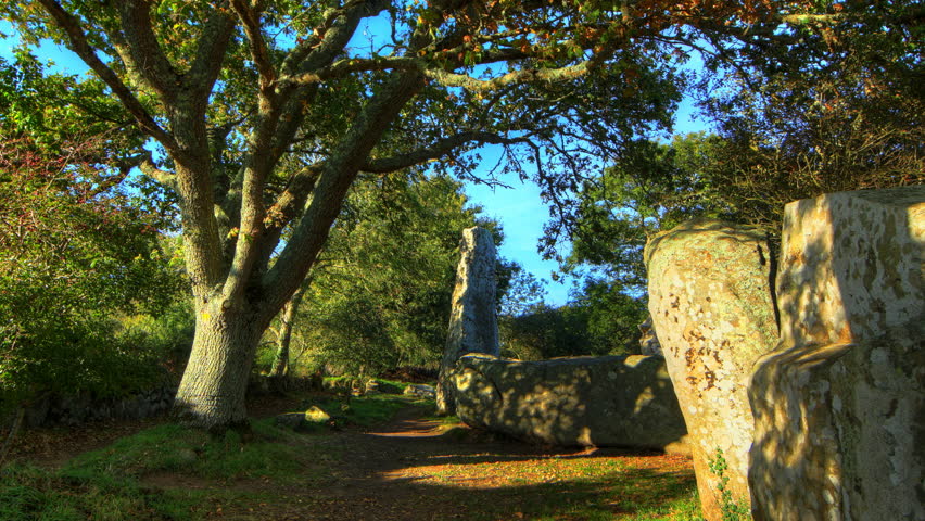 Moving shadows passing on ancient stones in forest, 4K motion time lapse clip, High Dynamic Range Imaging
