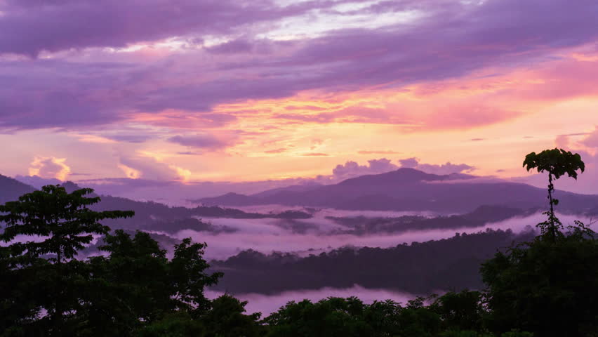 Time lapse of sunrise at Danum Valley Conservation park rain forest in Sabah Borneo Malaysia.