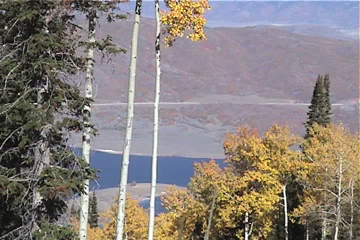 Fall foliage in Utah