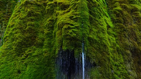 Three Mills Waterfall, Vulkaneifel Nature Park and Geopark, Western Eifel Territory, Eifel Region, Germany, Europe