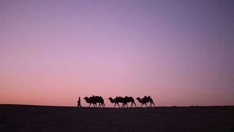 Caravan Silhouette at sunset in the middle of the desert with leading male in traditional costume, China, Dunhuang