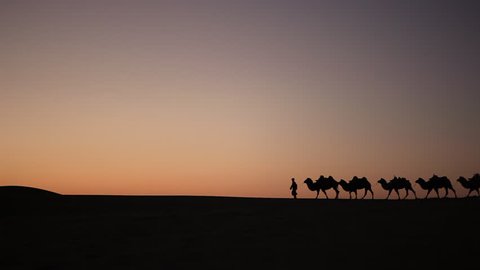 Caravan Silhouette at sunset in the middle of the desert with leading male in traditional costume, China, Dunhuang