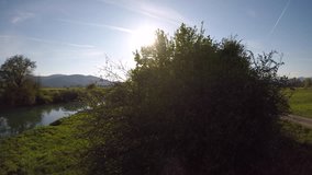 4K AERIAL Bushes on the river bank lit by the sun