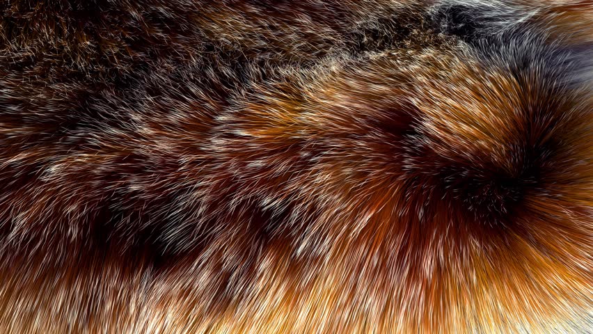 Beautiful red fox fur blowing on the wind, luxury abstract natural animation, close up macro shot of animal hair in slow motion. Royalty-Free Stock Footage #26309459