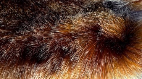 Beautiful red fox fur blowing on the wind, luxury abstract natural animation, close up macro shot of animal hair in slow motion.