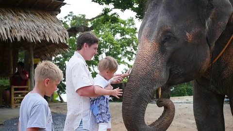 Family petting the elephant and feed him bananas. PHANGAN, THAILAND