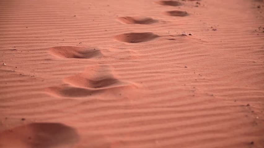 Shutterstock video thumbnail