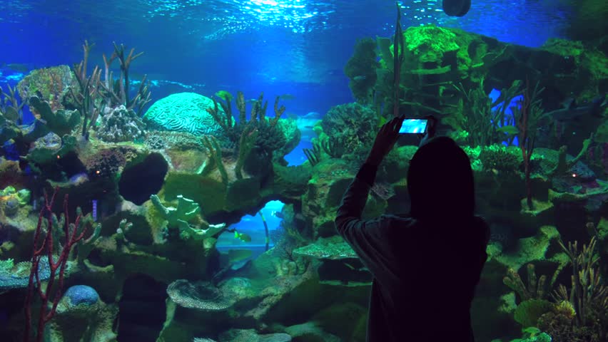 Young Woman in Glasess Take Picture of Aquarium at the Oceanarium, Using a Smartphone