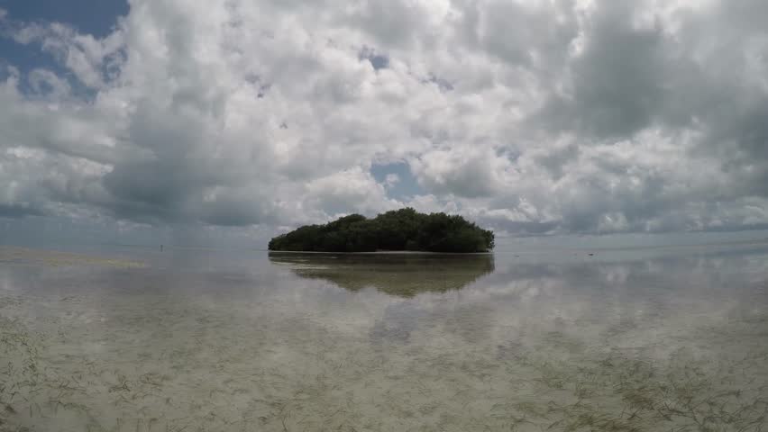 mangrove island timelapse