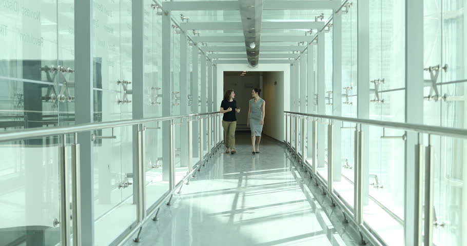 Business colleagues on way to a meeting