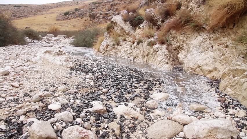 Stream in the Negev desert from Israel
