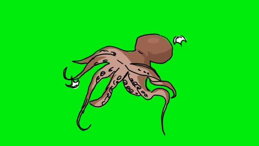 animals on green screen