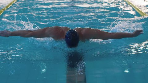 Male swimmer swims in pool HD slow-motion video. Butterfly training of professional athlete. Water splashing. Front view