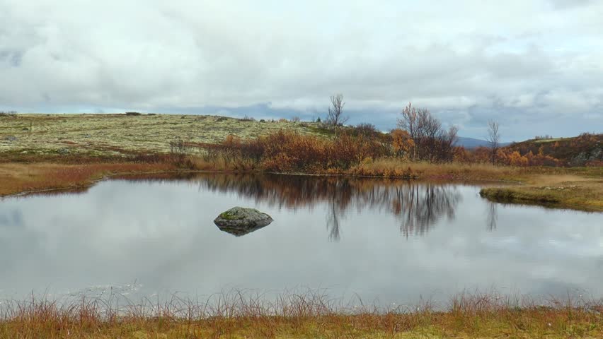 A small swampy lake in an autumn forest among low hills in a cloudy day against the background of a cloudy sky. Tundra. Late autumn.