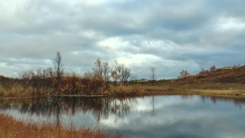 A small picturesque swampy lake in an autumn forest among low hills in a cloudy day against the 

background of a cloudy sky. Timelapse. Late autumn.