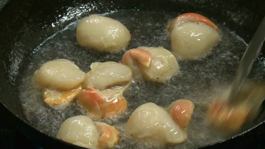 Chef pan frying scallop entrÃ©e of freshly collected scallops from the