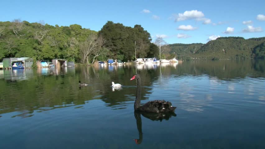 Lake Tarawera, Rotorua, New Zealand, circa February 2012. reflection of Black
